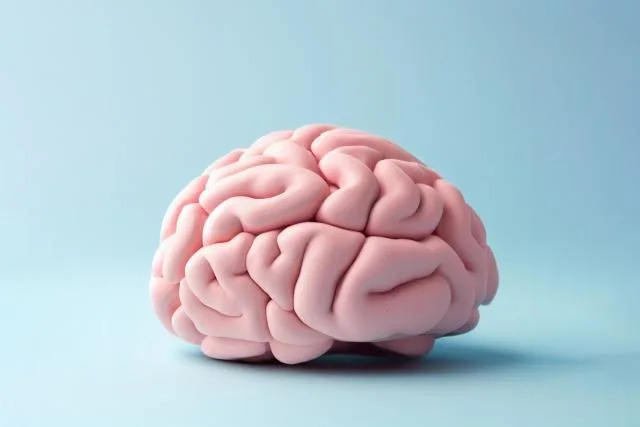 e905dcecbfcaaab9c96f7a75d7c0c51d e905dcecbfcaaab9c96f7a75d7c0c51d